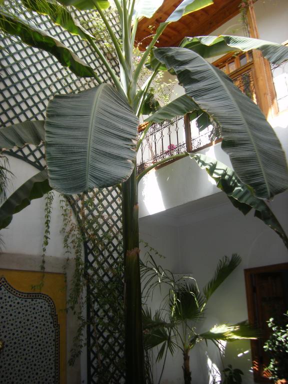 Riad Irene Марракеш Экстерьер фото